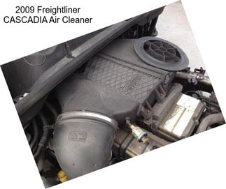 2009 Freightliner CASCADIA Air Cleaner