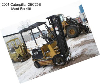 2001 Caterpillar 2EC25E Mast Forklift