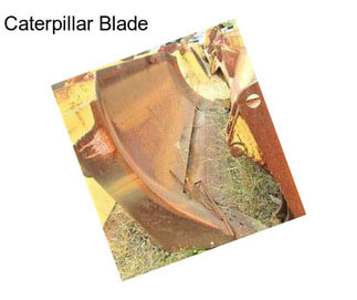 Caterpillar Blade