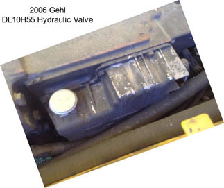 2006 Gehl DL10H55 Hydraulic Valve