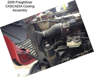 2009 Freightliner CASCADIA Cooling Assembly