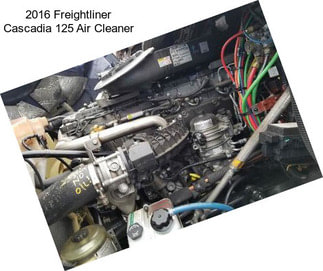 2016 Freightliner Cascadia 125 Air Cleaner