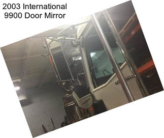 2003 International 9900 Door Mirror