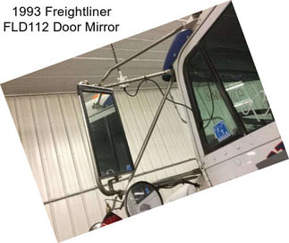 1993 Freightliner FLD112 Door Mirror