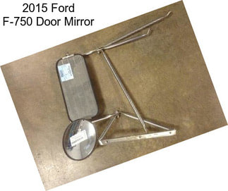 2015 Ford F-750 Door Mirror