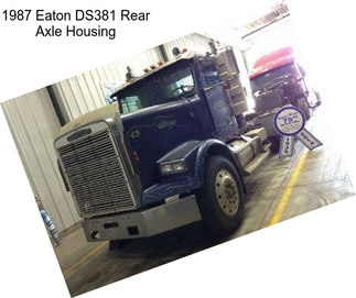 1987 Eaton DS381 Rear Axle Housing