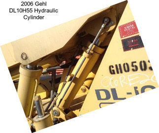 2006 Gehl DL10H55 Hydraulic Cylinder