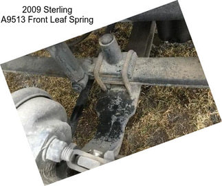 2009 Sterling A9513 Front Leaf Spring