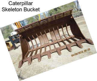 Caterpillar Skeleton Bucket