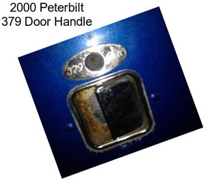 2000 Peterbilt 379 Door Handle