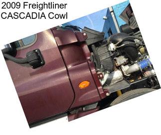 2009 Freightliner CASCADIA Cowl
