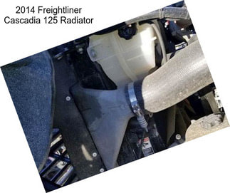 2014 Freightliner Cascadia 125 Radiator