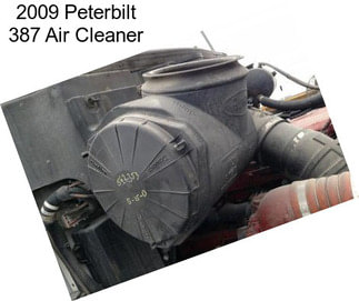 2009 Peterbilt 387 Air Cleaner