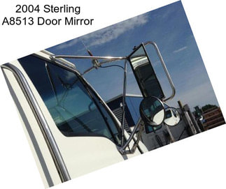 2004 Sterling A8513 Door Mirror