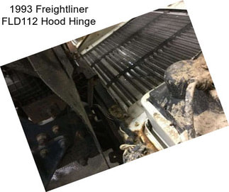 1993 Freightliner FLD112 Hood Hinge