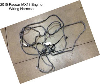 2015 Paccar MX13 Engine Wiring Harness