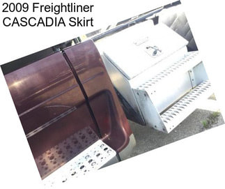 2009 Freightliner CASCADIA Skirt