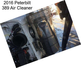 2016 Peterbilt 389 Air Cleaner