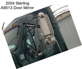 2004 Sterling A9513 Door Mirror