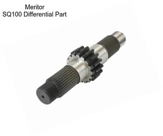 Meritor SQ100 Differential Part