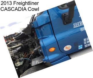 2013 Freightliner CASCADIA Cowl