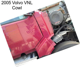 2005 Volvo VNL Cowl