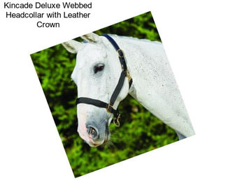 Kincade Deluxe Webbed Headcollar with Leather Crown