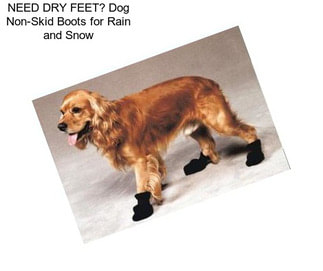 NEED DRY FEET? Dog Non-Skid Boots for Rain and Snow