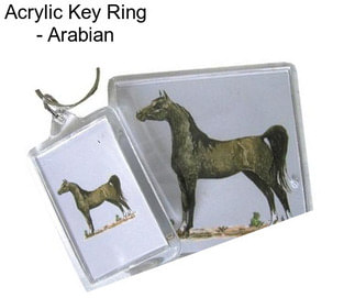 Acrylic Key Ring - Arabian