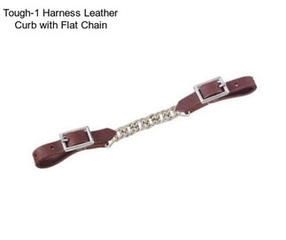 Tough-1 Harness Leather Curb with Flat Chain