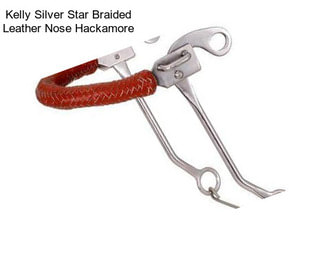 Kelly Silver Star Braided Leather Nose Hackamore