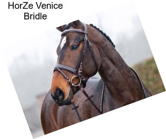 HorZe Venice Bridle