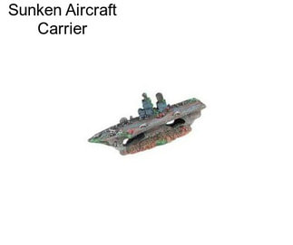 Sunken Aircraft Carrier