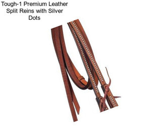 Tough-1 Premium Leather Split Reins with Silver Dots