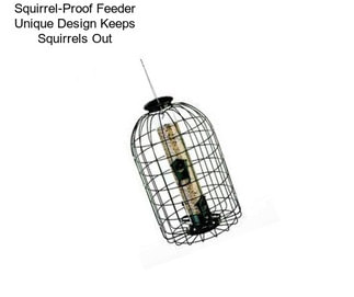 Squirrel-Proof Feeder Unique Design Keeps Squirrels Out