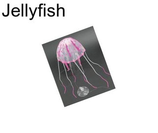 Jellyfish