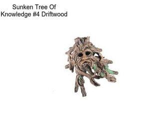 Sunken Tree Of Knowledge #4 Driftwood