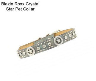 Blazin Roxx Crystal Star Pet Collar