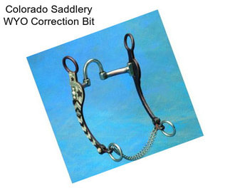 Colorado Saddlery WYO Correction Bit