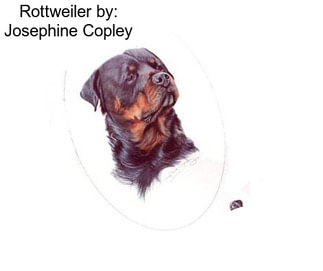 Rottweiler by: Josephine Copley