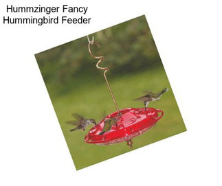 Hummzinger Fancy Hummingbird Feeder