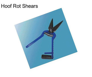 Hoof Rot Shears