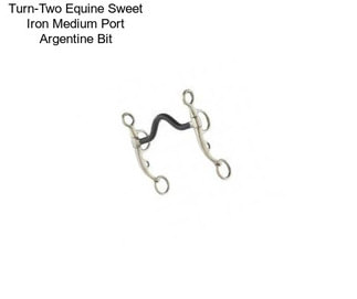 Turn-Two Equine Sweet Iron Medium Port Argentine Bit