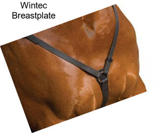 Wintec Breastplate