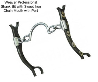 Weaver Professional Shank Bit with Sweet Iron Chain Mouth with Port