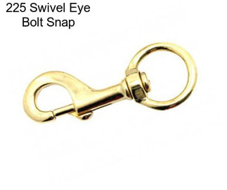 225 Swivel Eye Bolt Snap