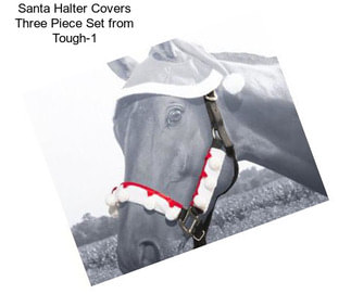 Santa Halter Covers Three Piece Set from Tough-1
