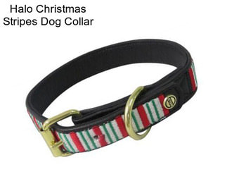 Halo Christmas Stripes Dog Collar