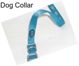 Dog Collar