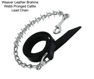 Weaver Leather Brahma Webb Pronged Cattle Lead Chain